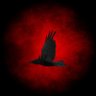 Shadowban Supreme's profile picture