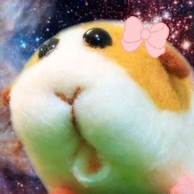 모묭's profile picture