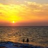 Lyna AZIZI profil fotoğrafı