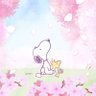 みいた3104 的头像