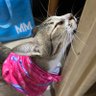 CristyR :) profil fotoğrafı