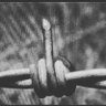 BarbWire's profile picture