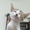 bad Father's profile picture