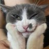 Profilbild von daisy