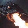 Smogmonster71's profile picture