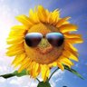 سنفلاور's profile picture