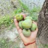 मार्तंड शर्मा profil fotoğrafı