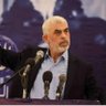 م احمدی 的头像
