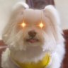 Profilbild von ESCANOR