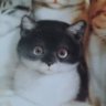 Profilbild von i