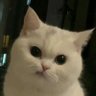 kanjeng putri (◕ᴗ◕✿) profil fotoğrafı