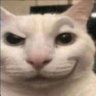 Neuron's profile picture