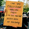 Logical Imaan🇵🇸🇮🇷🇾🇪🇮🇶 #CivilDisobedience ✊'s profile picture