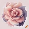 Фото профиля foxxie