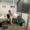 Lochie profil fotoğrafı