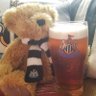 Toon Teddy Bear profil fotoğrafı