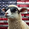 Head Sheep's profile picture