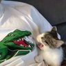 Norah profil fotoğrafı