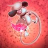 JadedragonVGC's profile picture