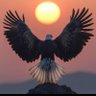 Yalçın's profile picture