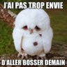 Céréales KiLEUR profil fotoğrafı