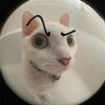 Bryant's profile picture