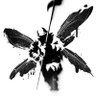 SS's profile picture