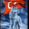 𐰖𐰆𐰽𐰆𐰺 𐰋𐰃𐰼𐰍𐰀𐰃𐰋 🇹🇷 💙💛🇦🇿🌹's profile picture