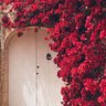 Фото профиля أمـل
