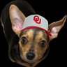 Profilbild von Maston