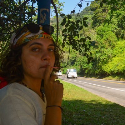 gattilhos's profile picture
