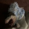 Avery Mason's profile picture