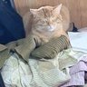 Фото профиля Pat