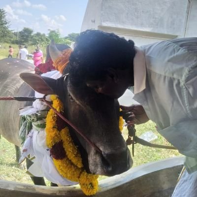 Selva59350611's profile picture