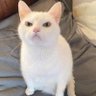 C@TRock's profile picture