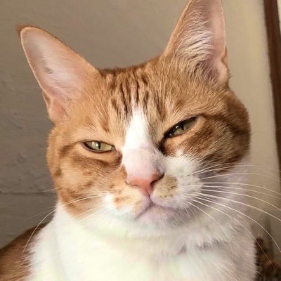 aji8595591's profile picture