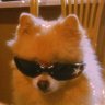 Elodia's profile picture