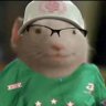 Lacata's profile picture