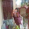 mahima profil fotoğrafı