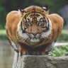 empireT's profile picture