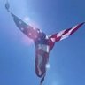 Lizbette Correia's profile picture