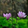 Фото профиля staktokio
