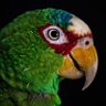 Social Popat's profile picture