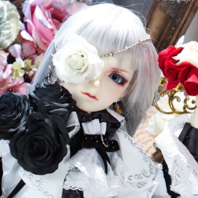 miori_1100_doll's profile picture