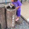 Фото профиля いびえもん