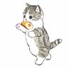 Profilbild von wang