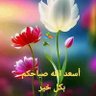 Profilbild von حسام الدين محمد