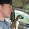 D's profile picture