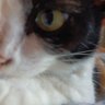Profilbild von 🧡LOVE♥️