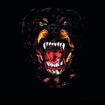 山楂,'s profile picture